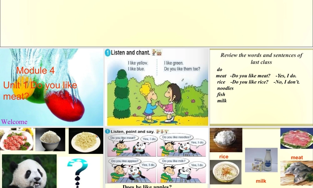 外研版小学英语课件-Module 4Unit 1 Do you like meat课件2.ppt