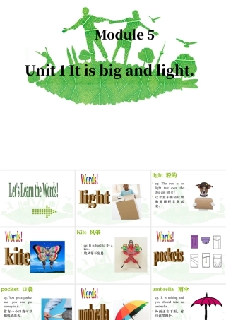 外研版小学英语课件-Module 5 Unit 1 It is big and light 课件1.ppt