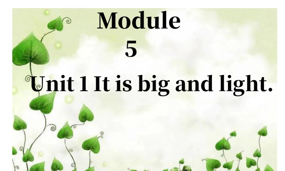 外研版小学英语课件-Module 5 Unit 1 It is big and light 课件2.ppt