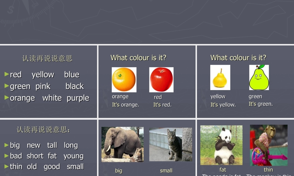 外研版小学英语课件-Module 5 Unit 1 It's big and light--描述特征句型操练.ppt