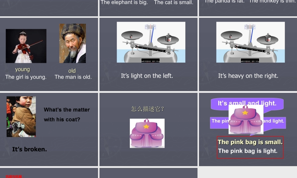 外研版小学英语课件-Module 5 Unit 1 It's big and light--描述特征句型操练.ppt