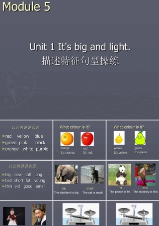 外研版小学英语课件-Module 5 Unit 1 It's big and light--描述特征句型操练.ppt