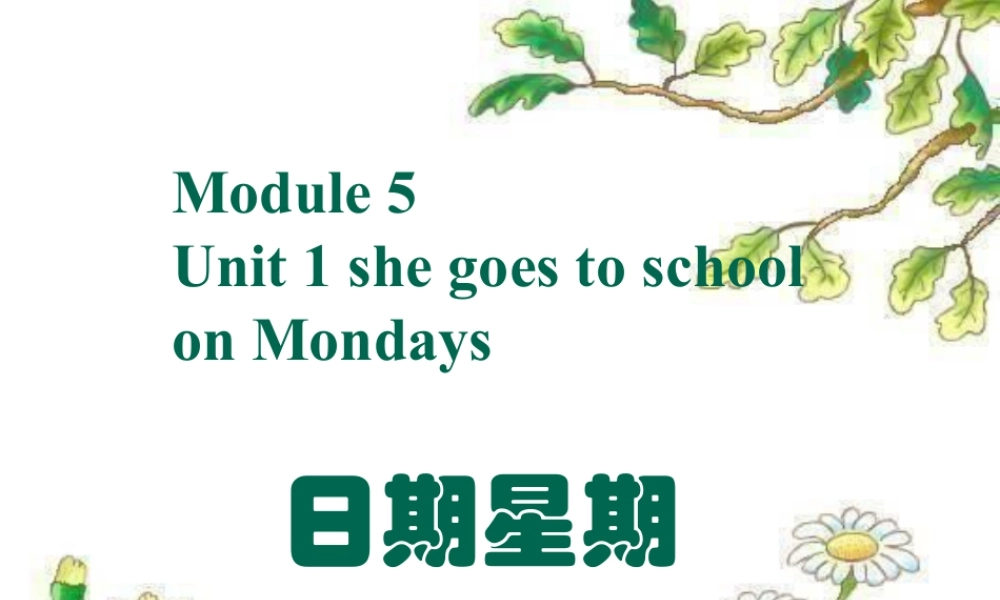 外研版小学英语课件-Module 5 Unit 1 she goes to school on Mondays--日期星期.ppt
