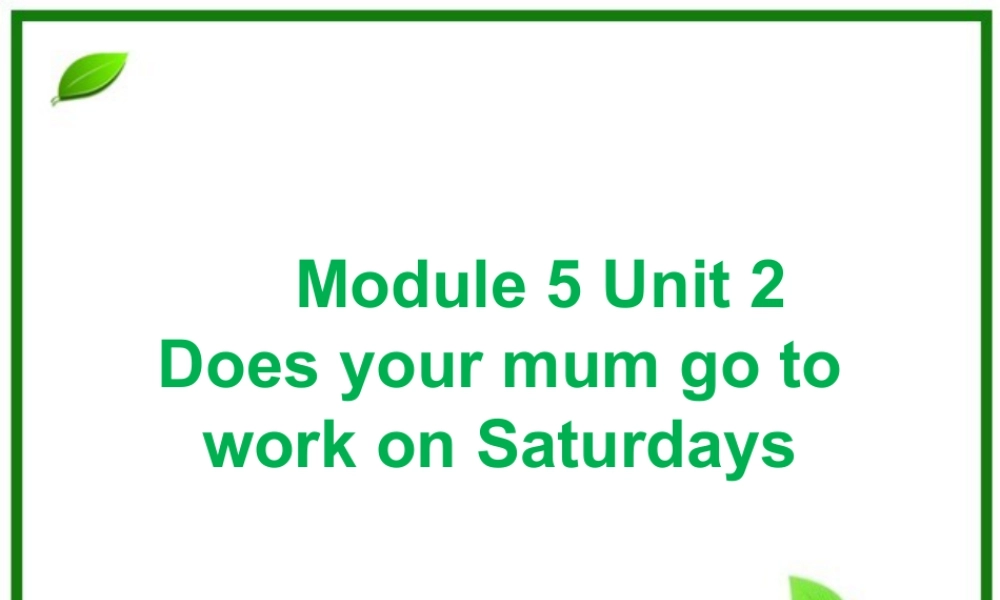 外研版小学英语课件-Module 5 Unit 2 Does your mum go to work on Saturdays 课件3.ppt