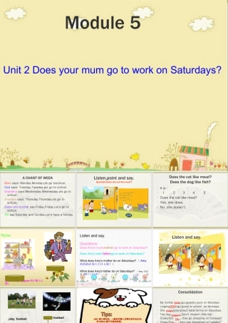 外研版小学英语课件-Module 5 Unit 2 Does your mum go to work on Saturdays课件2.ppt