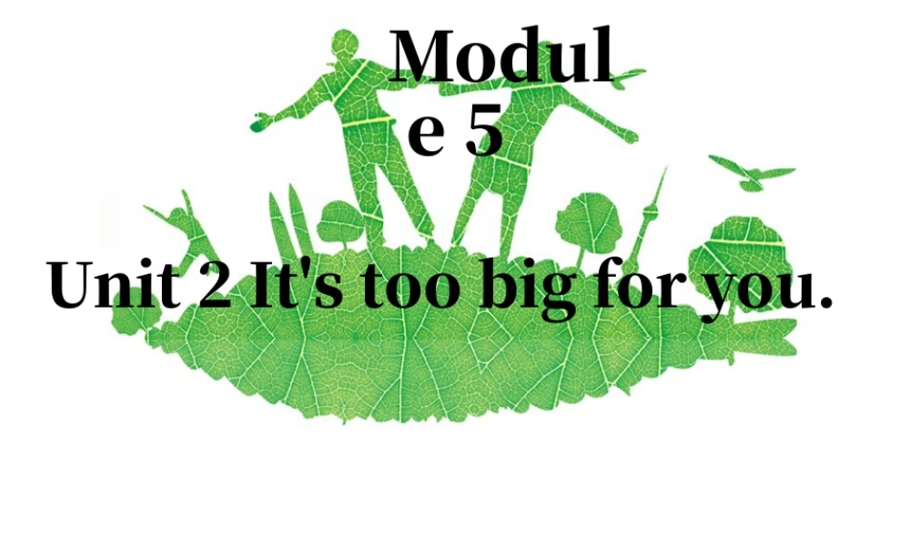 外研版小学英语课件-Module 5 Unit 2 It's too big for you 课件1.ppt
