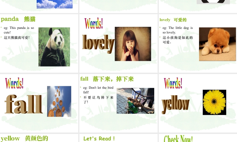 外研版小学英语课件-Module 5 Unit 2 It's too big for you 课件1.ppt