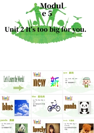 外研版小学英语课件-Module 5 Unit 2 It's too big for you 课件1.ppt
