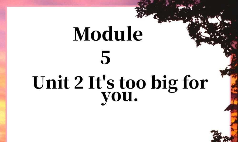 外研版小学英语课件-Module 5 Unit 2 It's too big for you 课件2.ppt