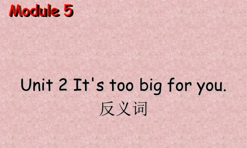 外研版小学英语课件-Module 5 Unit 2 It's too big for you--反义词.ppt