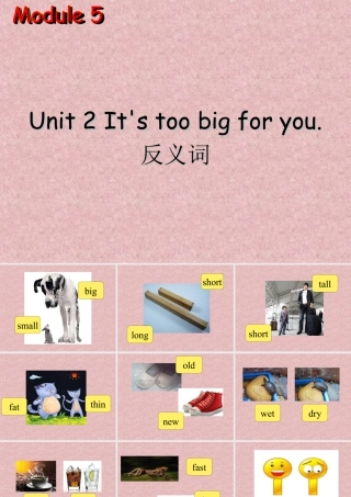 外研版小学英语课件-Module 5 Unit 2 It's too big for you--反义词.ppt