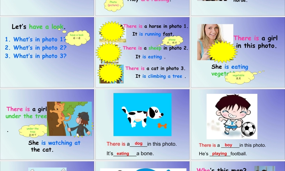 外研版小学英语课件-Module 7 Unit 1 There is a horse in this photo 课件.ppt