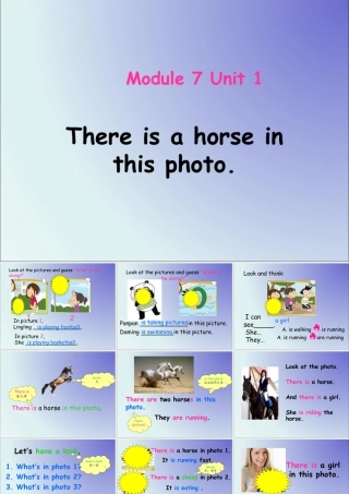 外研版小学英语课件-Module 7 Unit 1 There is a horse in this photo 课件.ppt