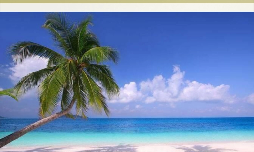 外研版小学英语课件-Module 7 Unit 1 We fly kites in spring课件1.ppt