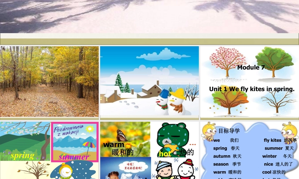 外研版小学英语课件-Module 7 Unit 1 We fly kites in spring课件1.ppt