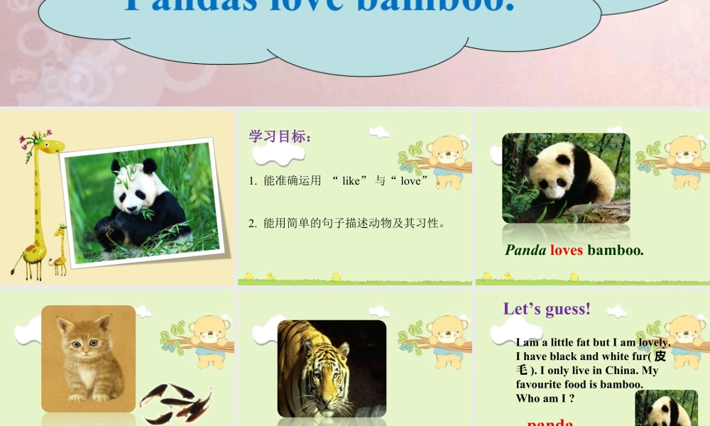 外研版小学英语课件-Module 7 Unit 2 Pandas love bamboo.ppt