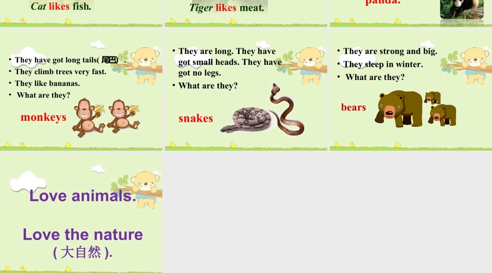 外研版小学英语课件-Module 7 Unit 2 Pandas love bamboo.ppt
