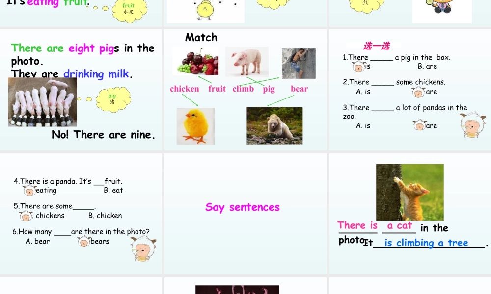 外研版小学英语课件-Module 7 Unit 2 There are twelve boys on the bike 课件.ppt