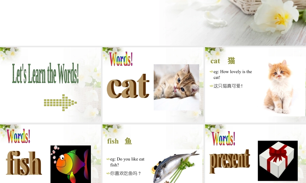 外研版小学英语课件-Module 8 Unit 1 Will you help me 课件1.ppt