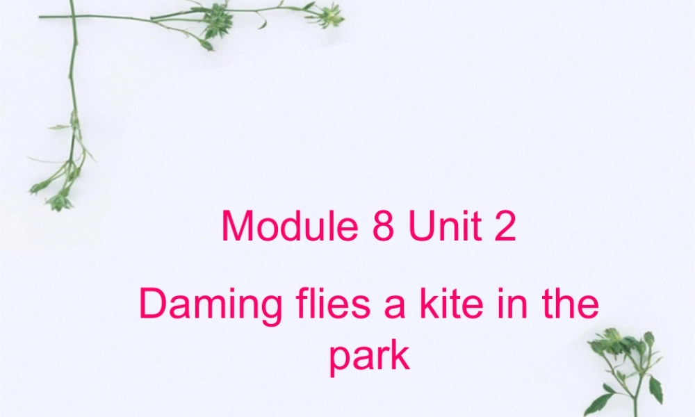 外研版小学英语课件-Module 8 Unit 2 Daming flies a kite in the park 课件3.ppt