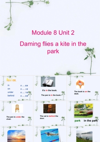 外研版小学英语课件-Module 8 Unit 2 Daming flies a kite in the park 课件3.ppt