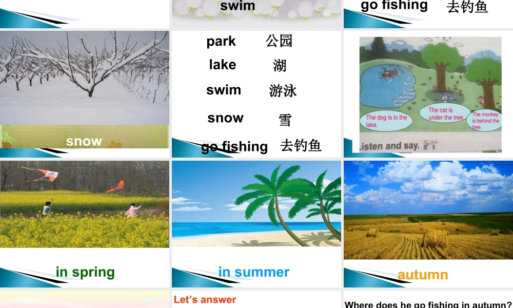 外研版小学英语课件-Module 8 Unit 2 Daming flies a kite in the park课件1.ppt