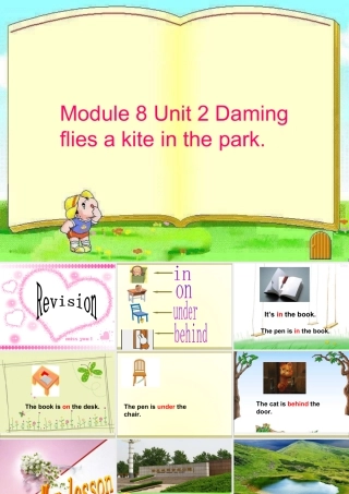 外研版小学英语课件-Module 8 Unit 2 Daming flies a kite in the park课件2.ppt