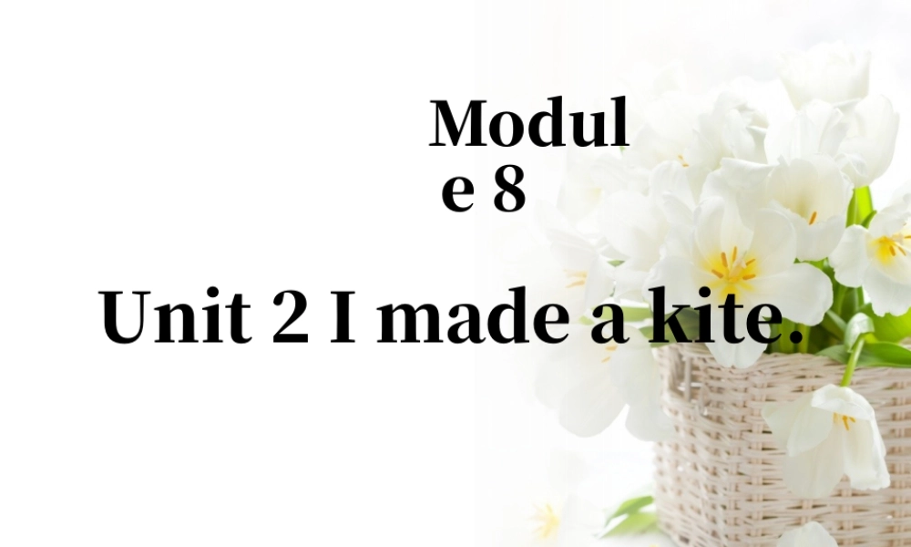 外研版小学英语课件-Module 8 Unit 2 I made a kite 课件1.ppt