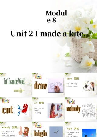 外研版小学英语课件-Module 8 Unit 2 I made a kite 课件1.ppt