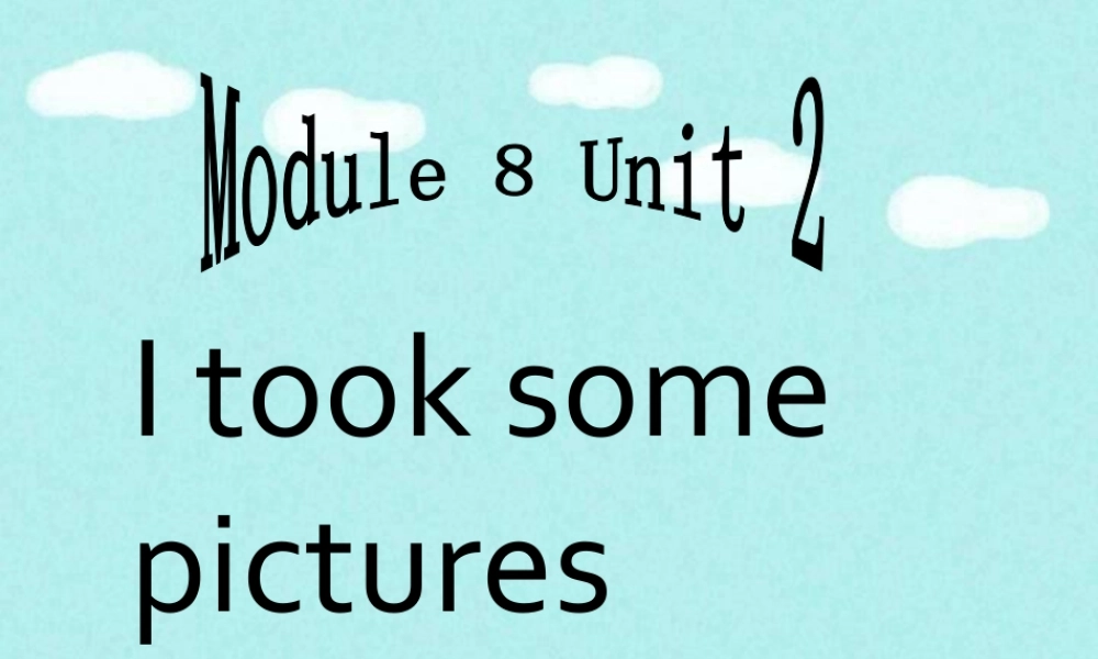 外研版小学英语课件-Module 8 Unit 2 I took some pictures 单词句型操练.ppt