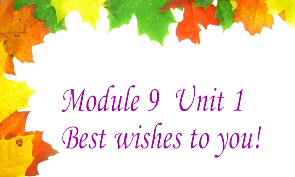 外研版小学英语课件-Module 9 Unit 1 Best wishes to you! 课件1.ppt