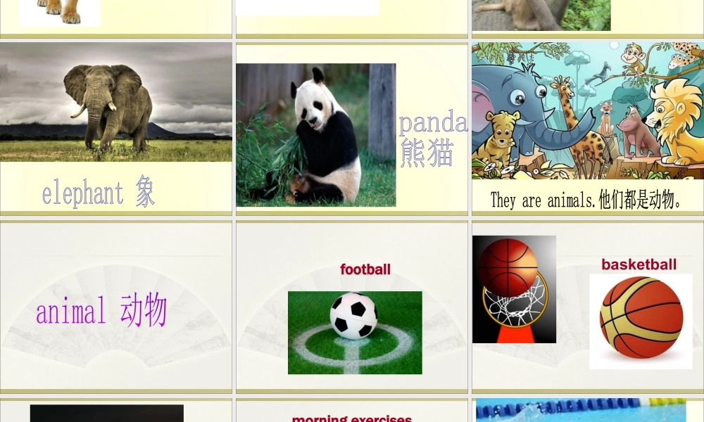 外研版小学英语课件-Module 9 Unit 1 I've got a new book课件1.ppt