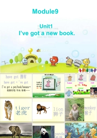 外研版小学英语课件-Module 9 Unit 1 I've got a new book课件1.ppt