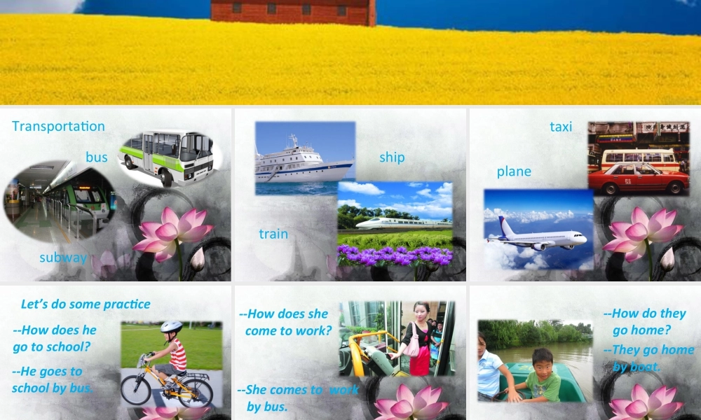 外研版小学英语课件-Module 9 Unit 2 Has Amy got a bike--How do you come to school.ppt