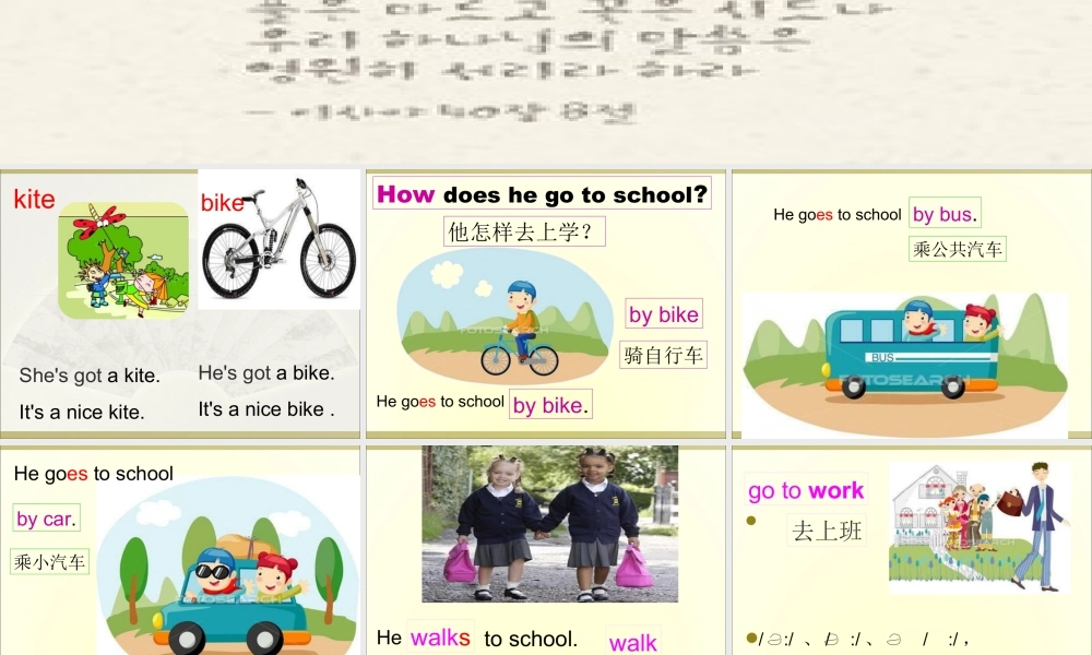 外研版小学英语课件-Module 9 Unit 2 Has Amy got a bike课件2.ppt
