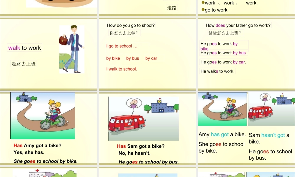 外研版小学英语课件-Module 9 Unit 2 Has Amy got a bike课件2.ppt