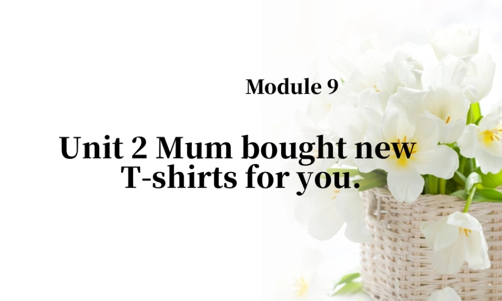 外研版小学英语课件-Module 9 Unit 2 Mum bought new T-shirts for you 课件1.ppt