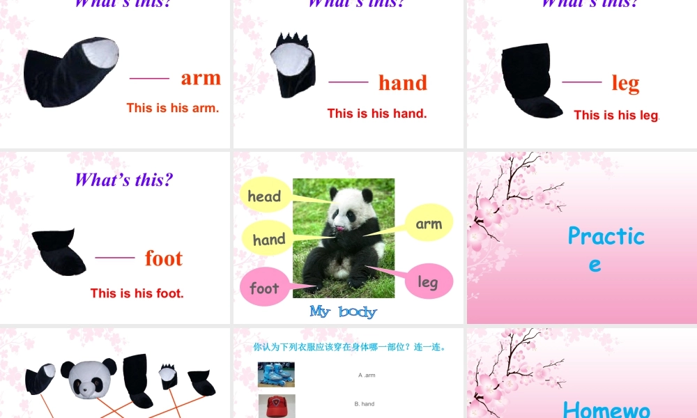 外研版小学英语课件-Module 10 Unit 1 This is his head 课件.ppt