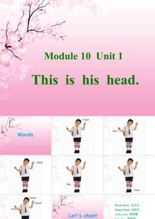 外研版小学英语课件-Module 10 Unit 1 This is his head 课件.ppt