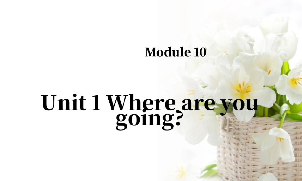 外研版小学英语课件-Module 10 Unit 1 Where are you going 课件1.ppt