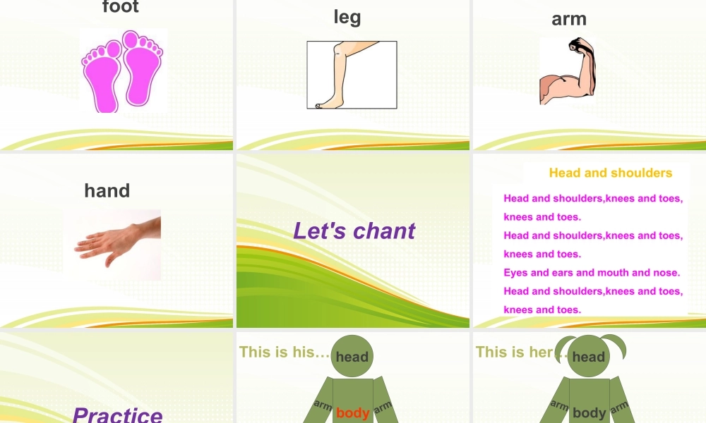 外研版小学英语课件-Module 10 Unit 2 Point to her nose 课件.ppt