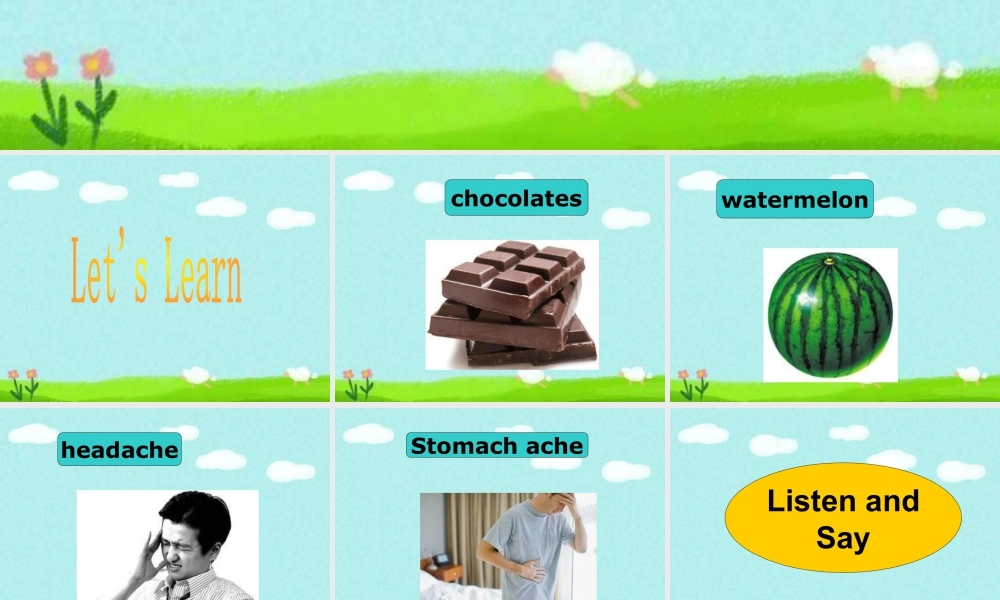 外研版小学英语课件-Module 10 Unit 2 Sam had lots of chocolate 单词句型演练.ppt