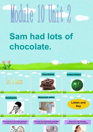 外研版小学英语课件-Module 10 Unit 2 Sam had lots of chocolate 单词句型演练.ppt