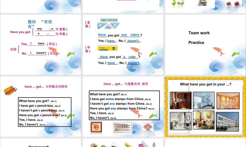 外研版小学英语课件-Module 10 Unit 2 She's got an orange sweater Have you got any stamps from China.ppt