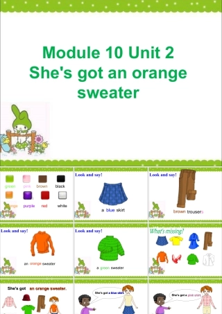 外研版小学英语课件-Module 10 Unit 2 She's got an orange sweater 课件3.ppt