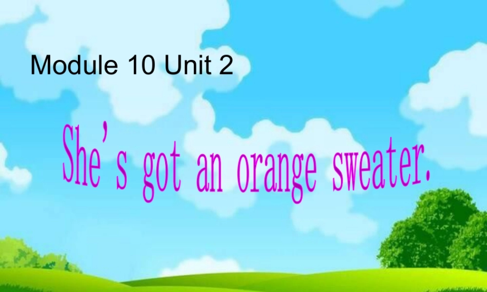 外研版小学英语课件-Module 10 Unit 2 She's got an orange sweater课件1.ppt