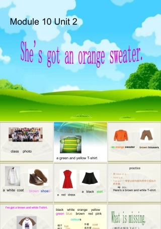 外研版小学英语课件-Module 10 Unit 2 She's got an orange sweater课件1.ppt