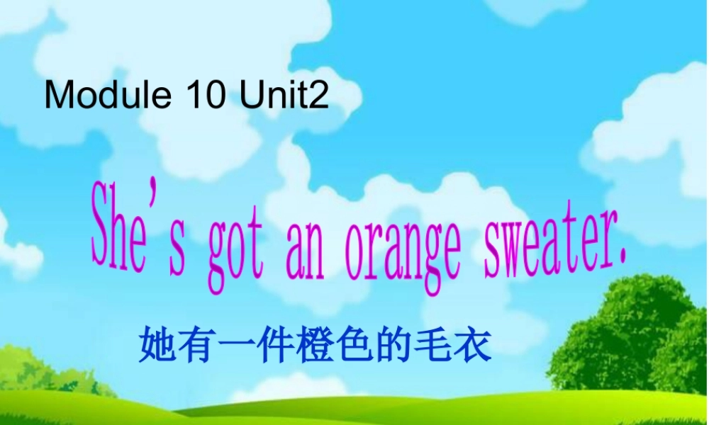 外研版小学英语课件-Module 10 Unit 2 She's got an orange sweater课件2.ppt