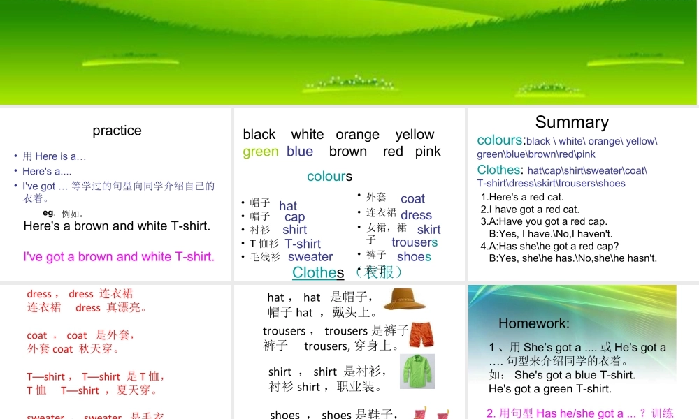 外研版小学英语课件-Module 10 Unit 2 She's got an orange sweater课件2.ppt