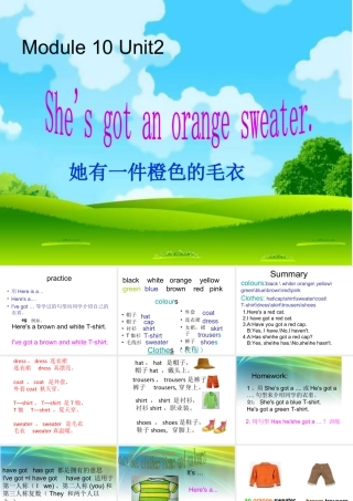 外研版小学英语课件-Module 10 Unit 2 She's got an orange sweater课件2.ppt